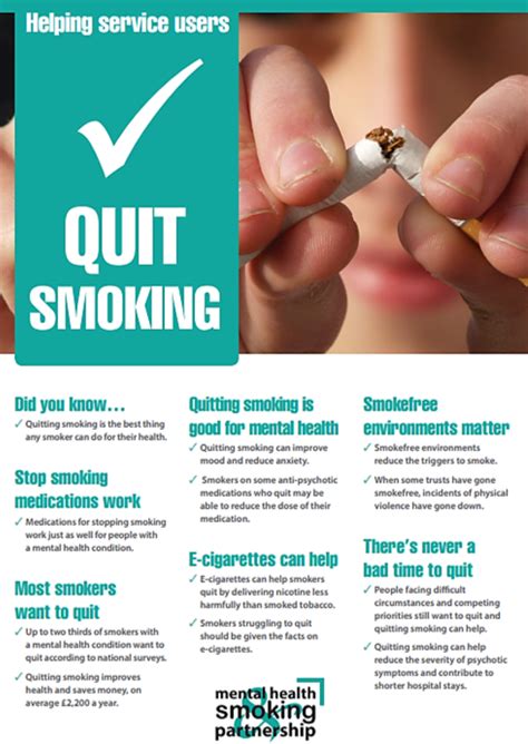 stop smoking momobird